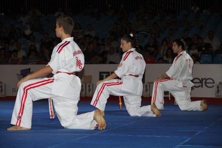 Martial Arts Festival